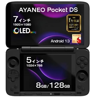 AYANEO Pocket DS